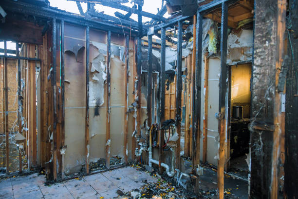 Professional Smoke Damage Restoration technician working in Fork, MD